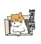 Meow Meow i'm a cat（個別スタンプ：22）