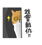 Meow Meow i'm a cat（個別スタンプ：24）