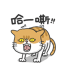 Meow Meow i'm a cat（個別スタンプ：25）