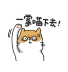 Meow Meow i'm a cat（個別スタンプ：26）