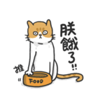 Meow Meow i'm a cat（個別スタンプ：27）