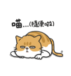 Meow Meow i'm a cat（個別スタンプ：31）