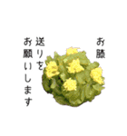 生菓子と大和言葉（個別スタンプ：5）