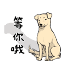 待っている言語（個別スタンプ：1）
