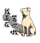 待っている言語（個別スタンプ：3）