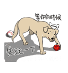 待っている言語（個別スタンプ：4）