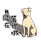 待っている言語（個別スタンプ：5）