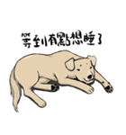 待っている言語（個別スタンプ：6）
