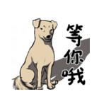 待っている言語（個別スタンプ：11）