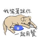 待っている言語（個別スタンプ：12）