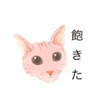 猫ども＋α3（個別スタンプ：40）