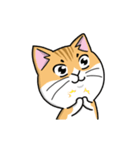 Silly Diary-The fat cat version（個別スタンプ：8）