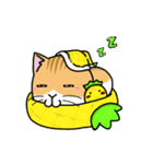 Silly Diary-The fat cat version（個別スタンプ：10）