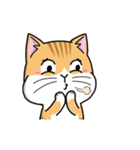 Silly Diary-The fat cat version（個別スタンプ：11）