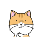 Silly Diary-The fat cat version（個別スタンプ：17）