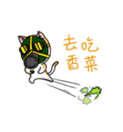 Silly Diary-The fat cat version（個別スタンプ：19）