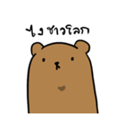 Weird Bear In Every Single Particle（個別スタンプ：1）