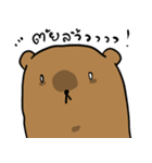 Weird Bear In Every Single Particle（個別スタンプ：11）