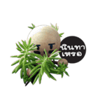 Hemng2（個別スタンプ：24）