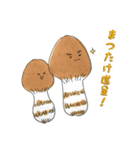 まいにち！キノコ！ vol.1（個別スタンプ：4）