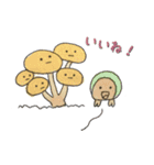 まいにち！キノコ！ vol.1（個別スタンプ：5）