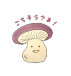まいにち！キノコ！ vol.1（個別スタンプ：26）