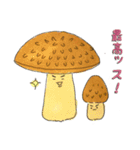 まいにち！キノコ！ vol.1（個別スタンプ：30）