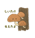 まいにち！キノコ！ vol.1（個別スタンプ：35）