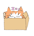 ノルウェージャンフォレストキャット（個別スタンプ：24）