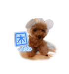トイプーのクレバー（1）【日常用】（個別スタンプ：20）