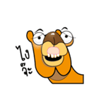 Camel（個別スタンプ：1）