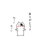 毎日使えるこねこぱっち【基本編】（個別スタンプ：3）