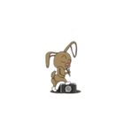 kelinci cool（個別スタンプ：5）