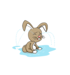 kelinci cool（個別スタンプ：6）