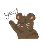 KUMA_INDY_ROCK（個別スタンプ：7）