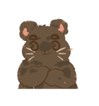 KUMA_INDY_ROCK（個別スタンプ：15）