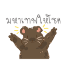 KUMA_INDY_ROCK（個別スタンプ：16）