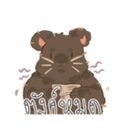 KUMA_INDY_ROCK（個別スタンプ：23）
