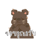 KUMA_INDY_ROCK（個別スタンプ：26）