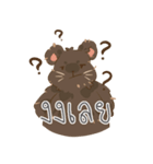 KUMA_INDY_ROCK（個別スタンプ：38）