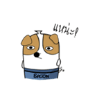 Bacon Ver.1（個別スタンプ：4）