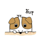 Bacon Ver.1（個別スタンプ：9）