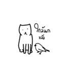 maeomeow（個別スタンプ：25）