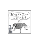四コマ漫画スタンプ 「カエル with ハエ」（個別スタンプ：3）