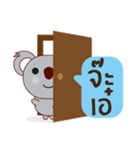 Coco little koala（個別スタンプ：8）