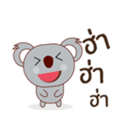 Coco little koala（個別スタンプ：16）