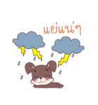 Pinkie ＆ Brownie（個別スタンプ：16）