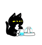 黒猫兄弟 Part2（個別スタンプ：36）