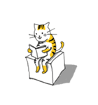 cat-cat（個別スタンプ：26）