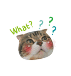 DondongMaini'chi（個別スタンプ：3）